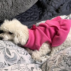 Starszy pies leżący spokojnie na podłodze obok miękkie koce.